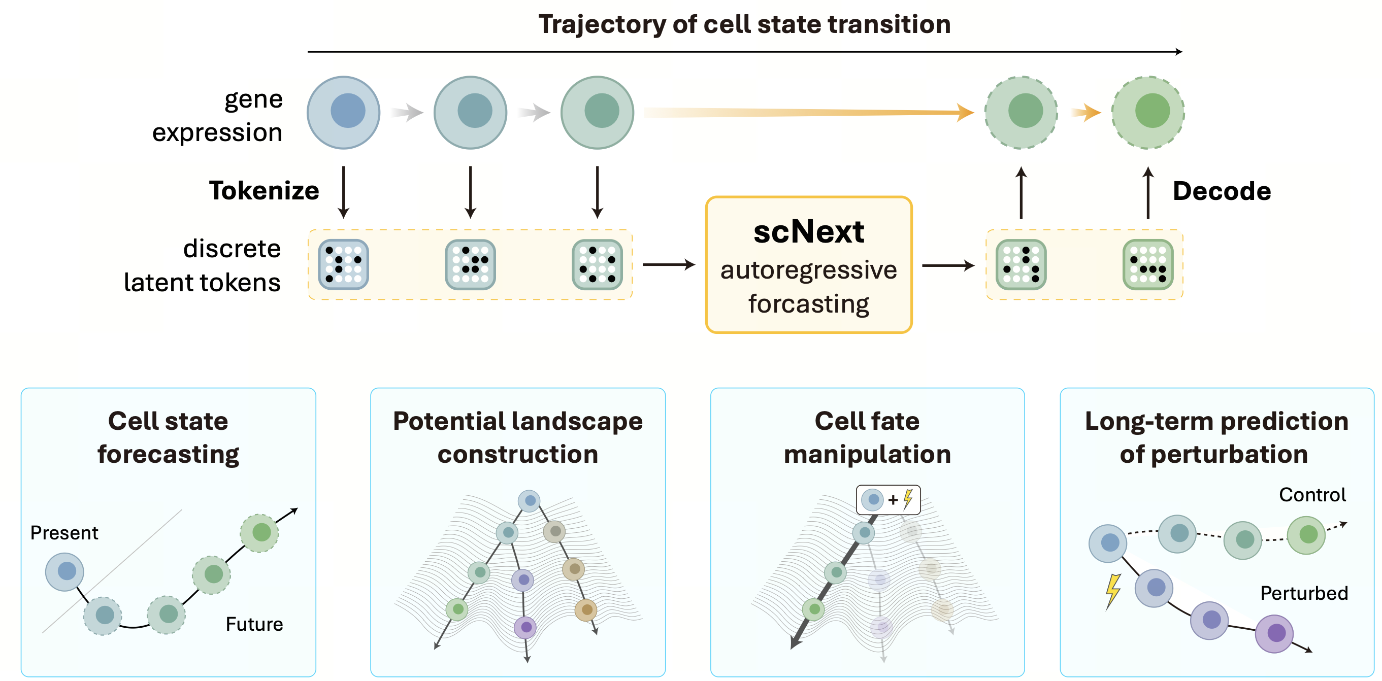 scNext